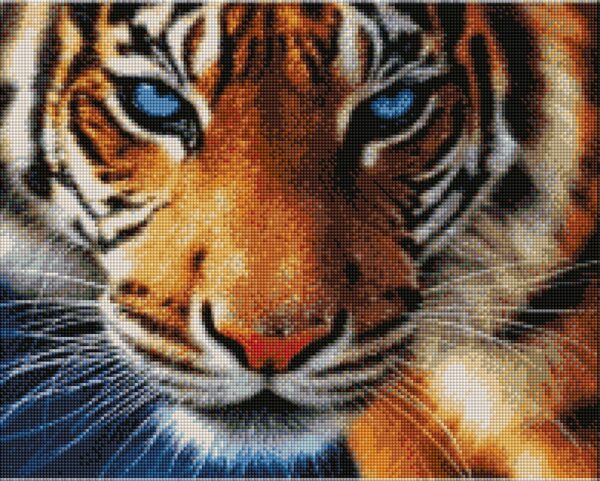 Diamond painting la tigre - immagine 2