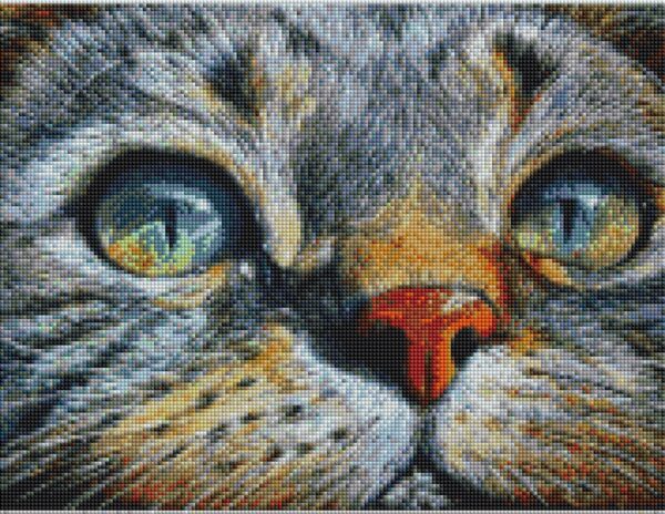 Diamond painting il gatto - immagine 2