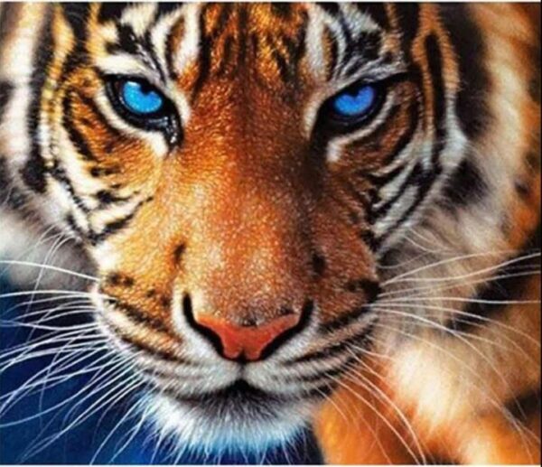 diamond painting la tigre