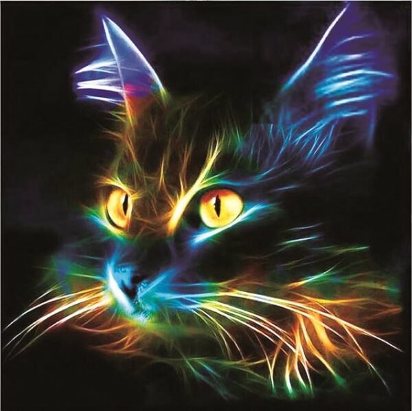 diamond painting black cat