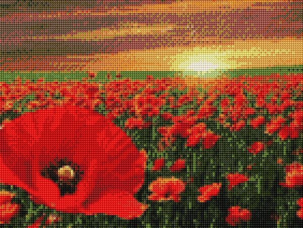 Diamond painting Campo Papaveri - immagine 2