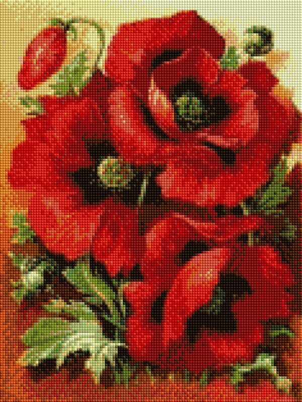 Diamond painting I Papaveri - immagine 2