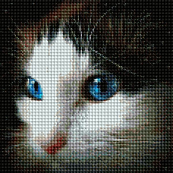 Diamond painting The Cat - immagine 2