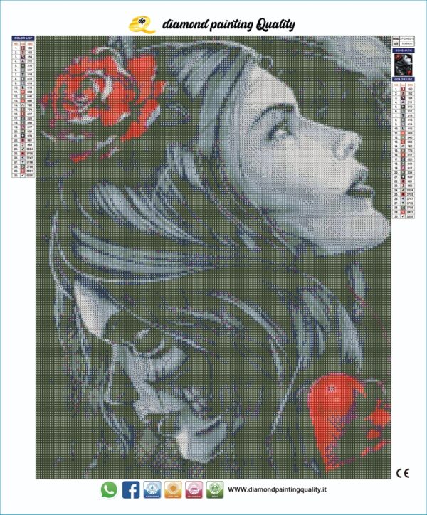 Diamond painting Double Face - immagine 3