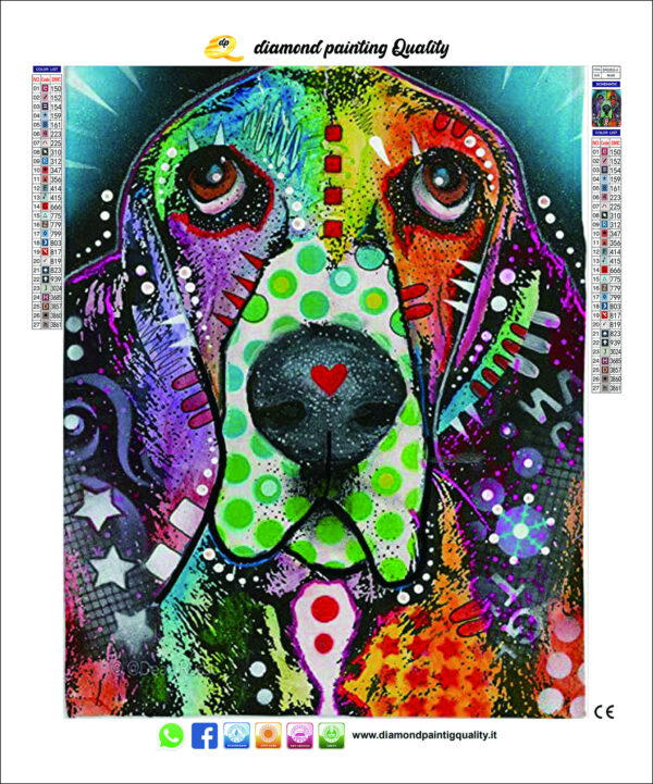 Diamond Painting Cane New Age - immagine 2