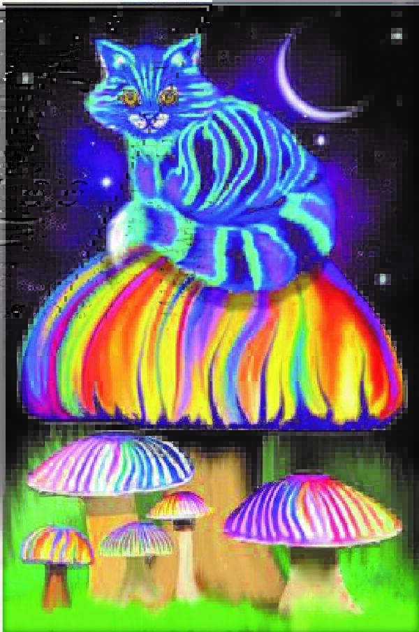diamond painting fantasy cat