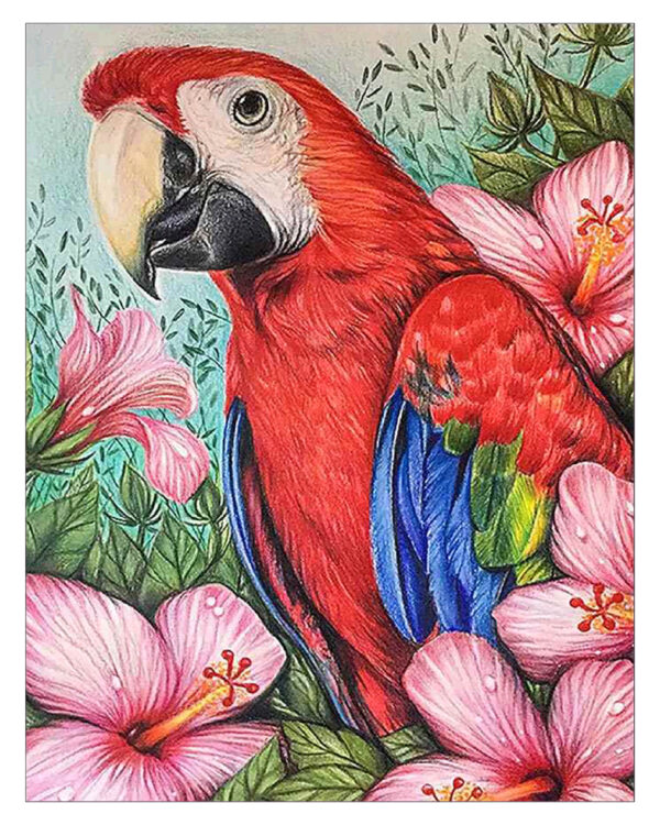 diamond painting pappagallo