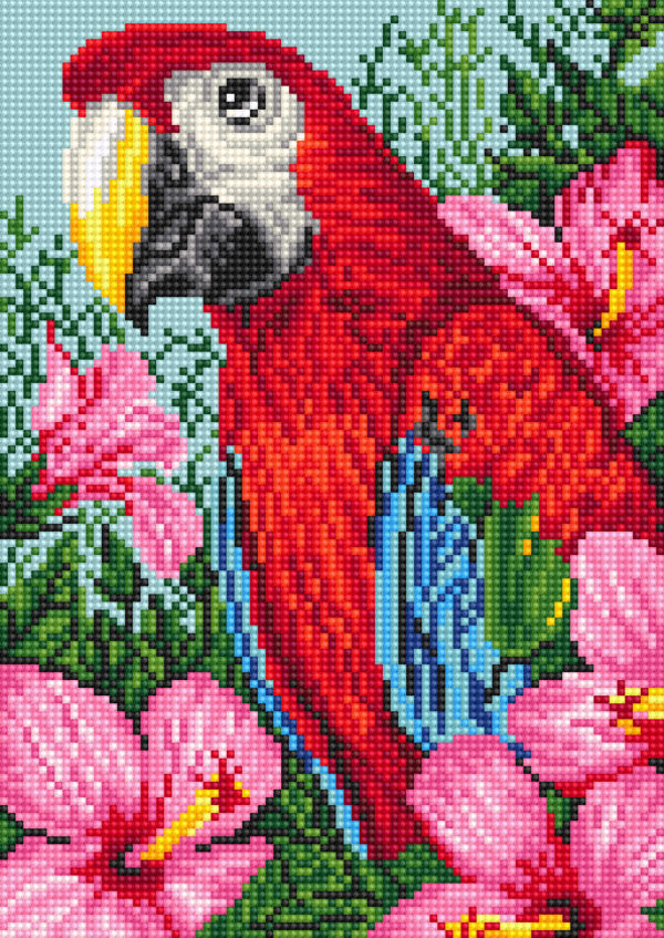 Diamond painting Pappagallo - immagine 2