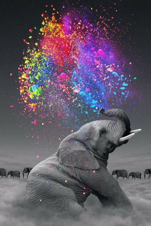 diamond painting colorful spray