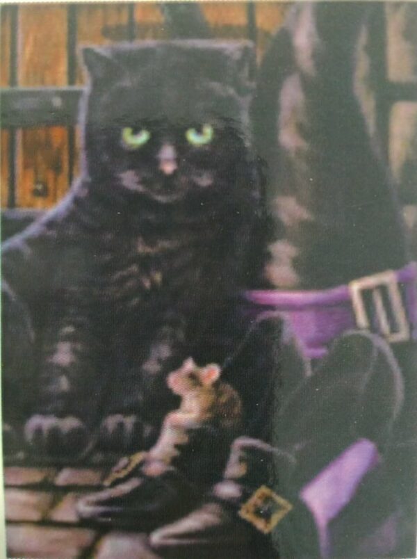Diamond Painting Gatto Nero