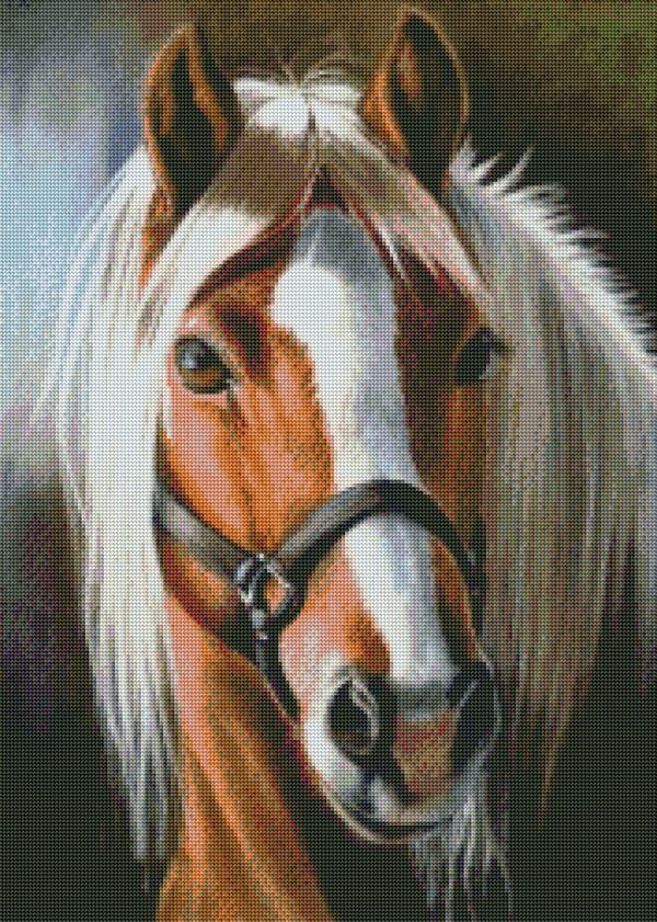 Diamond painting Il Cavallo - immagine 2