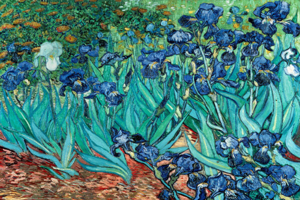 Diamond Painting Iris originali