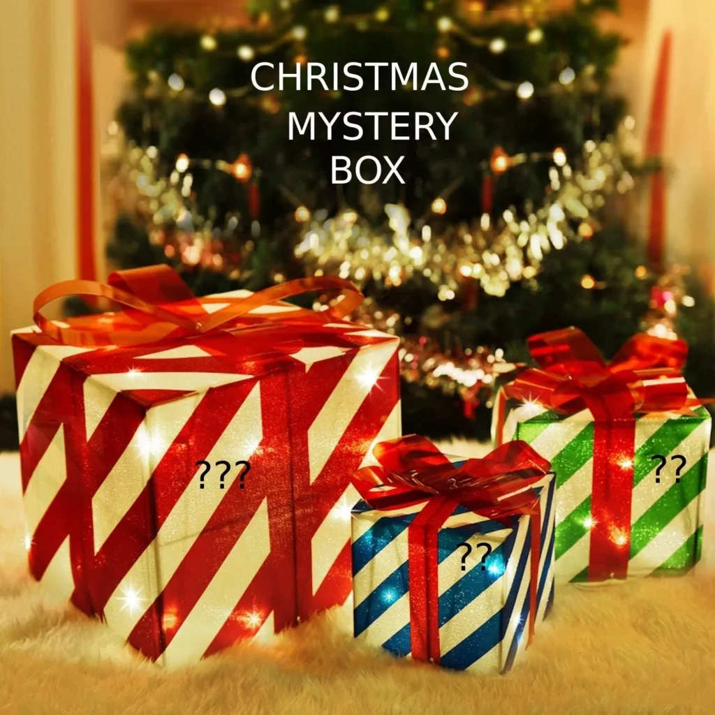 Diamond Painting Mistery Box Natale L